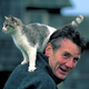Image for article titled Saturday Night Live (Classic): "Michael Palin/Eugene Record"